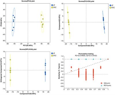 Effects of biological agents on rhizosphere microecological environment and nutrient availability for rice